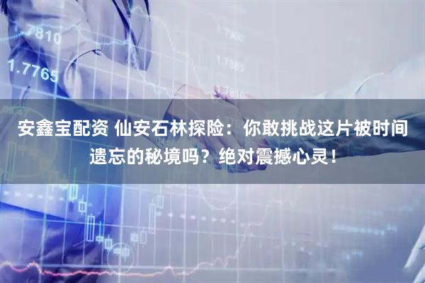 安鑫宝配资 仙安石林探险：你敢挑战这片被时间遗忘的秘境吗？绝对震撼心灵！