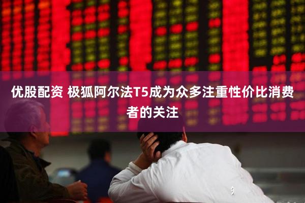 优股配资 极狐阿尔法T5成为众多注重性价比消费者的关注