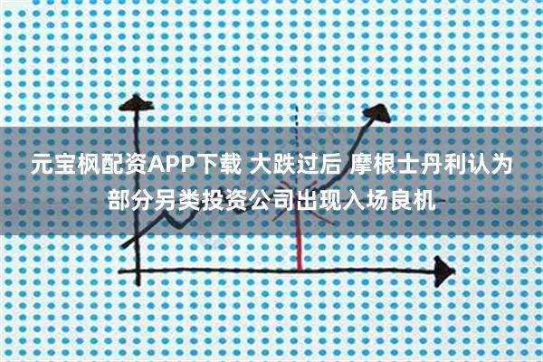 元宝枫配资APP下载 大跌过后 摩根士丹利认为部分另类投资公司出现入场良机