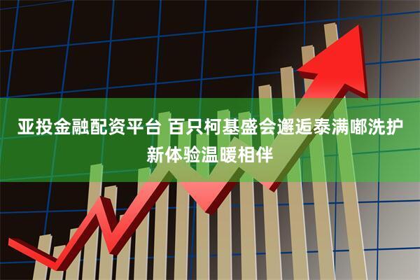 亚投金融配资平台 百只柯基盛会邂逅泰满嘟洗护新体验温暖相伴