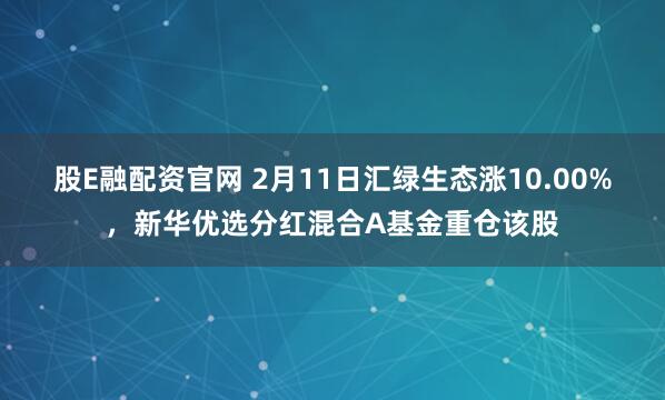 股E融配资官网 2月11日汇绿生态涨10.00%，新华优选分红混合A基金重仓该股